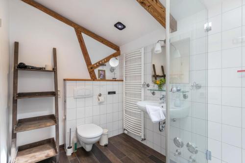 a bathroom with a toilet and a sink at Ferienwohnung alter Heuboden in Steinbergkirche