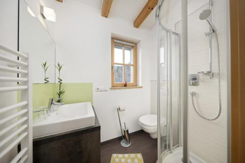 a bathroom with a sink and a toilet and a shower at Feldhof Apartment Apfeloase in Caines