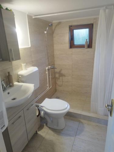 a bathroom with a toilet and a sink and a shower at Livada Bunicilor in Zamfireşti