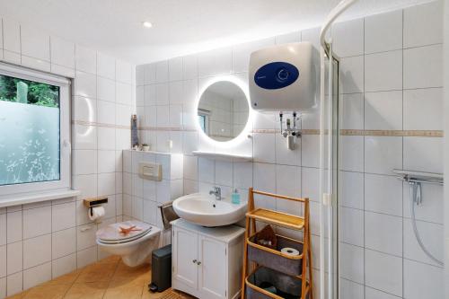 a bathroom with a sink and a toilet and a shower at Ruheoase Kummerower See in Kummerow