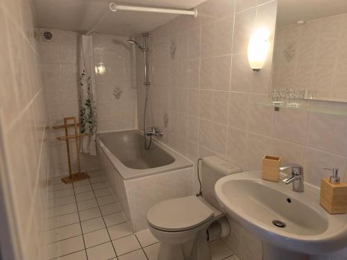 a bathroom with a toilet and a sink and a tub at Huthaus zum Molchner Stollen in Pobershau