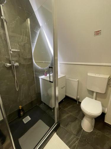 a small bathroom with a toilet and a shower at Pensiunea Oficial in Prejmer