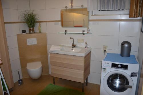 a small bathroom with a sink and a washing machine at Collenberger Ferienwohnung Schäfer in Collenberg