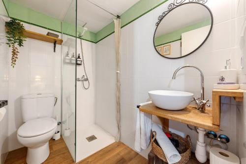 a bathroom with a toilet and a sink and a mirror at L'Escambell Grau Del Llop in Ulldemolins