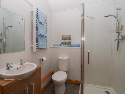 a bathroom with a toilet and a sink and a shower at Meadow View in Hull