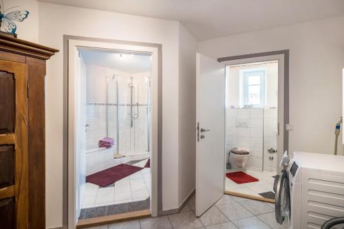 a bathroom with a shower and a toilet at Haus Moritz in Heimenkirch