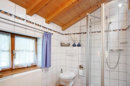 a bathroom with a shower and a toilet at Landhaus Exklusive Appartement in Wiederhofen