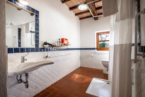 ein Badezimmer mit Waschbecken und Toilette in der Unterkunft Edera in Arcidosso