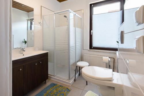 a bathroom with a shower and a toilet and a sink at Kastanienallee 43 in Ilsenburg