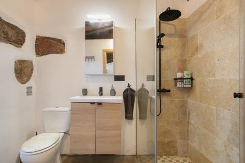a bathroom with a shower and a toilet and a sink at Casa Canaria Finca Real in Las Lagunas
