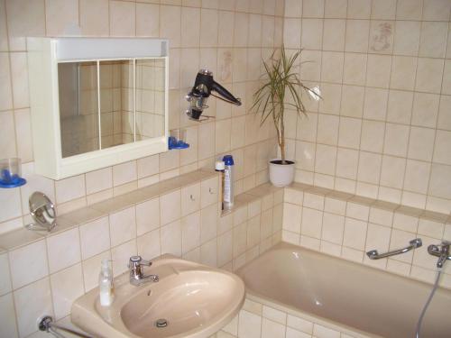 a bathroom with a sink and a tub with a plant at Wohnung mit Balkon im Schwarzwald in Seebach
