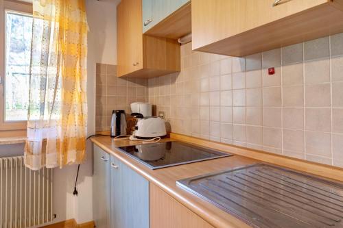 a kitchen with a sink and a counter top at Regalterhof Eppan in San Paolo