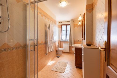 a bathroom with a shower and a sink and a toilet at Il colle dei Frati in Sinalunga
