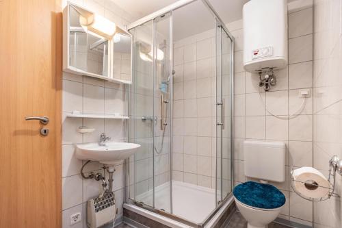 a bathroom with a shower and a toilet and a sink at Bungalow Bark Sedov, Bgl 3 in Dranske