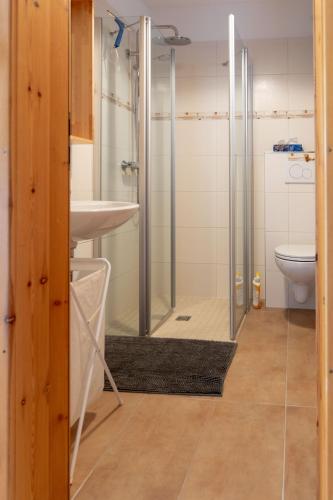 a bathroom with a shower and a sink and a toilet at Gemütliches Blockhaus im Harz in Bad Sachsa