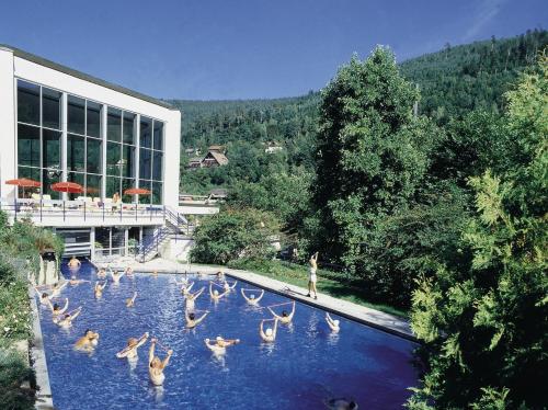 a group of ducks in the water in front of a building at Haus Mühlgrund in Bad Wildbad