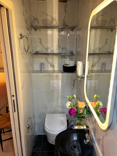 Heart of Saint-Germain Cozy 2BR for 5 Aldaro