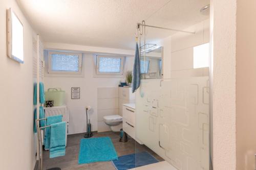 a bathroom with a toilet and a sink at Ferienwohnung Schweizer in Gaienhofen