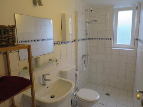 a bathroom with a toilet and a sink and a shower at Strandhaus am Oberuckersee in Warnitz