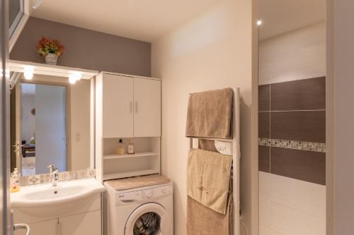 a bathroom with a sink and a washing machine at Logement spacieux agréable in Saint-Privat