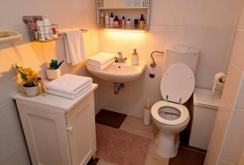 a small bathroom with a toilet and a sink at Dream Home in Lopud
