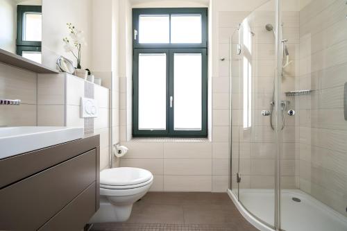 a white bathroom with a toilet and a shower at Haus Seezeit in Malchow