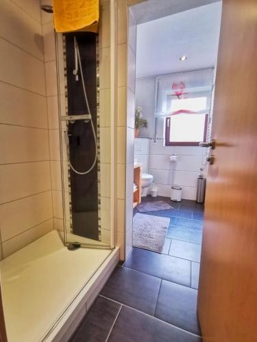 a bathroom with a shower and a toilet at Zur schönen Aussicht in Schotten