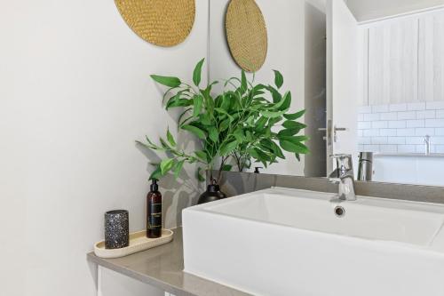 a bathroom with a white sink and a potted plant at Backup-Powered Trendy City Balcony Apartment in Cape Town