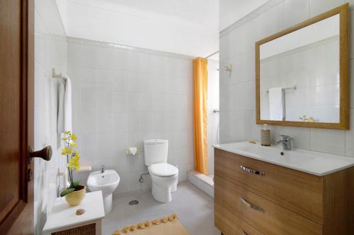 a bathroom with a toilet and a sink and a mirror at Casa da Oliveira in Loulé