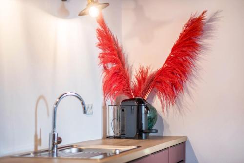 a vase filled with red feathers sitting on a kitchen counter at Eichhof Apartment Thymian in Termeno