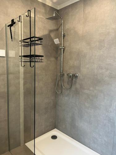 a bathroom with a shower with a glass door at Bio Bausewein - No.2 Apartment in Iphofen