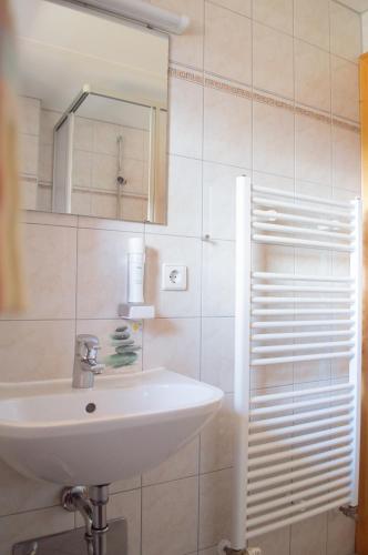 a bathroom with a sink and a mirror at Ferienwohnungen Krapfenalm in Wagrain