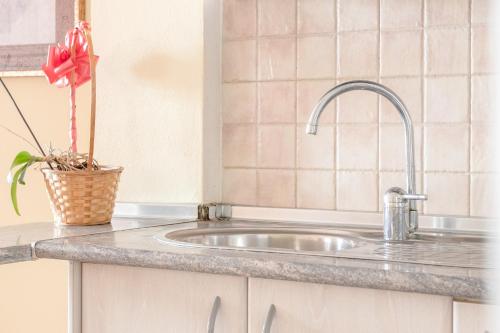 a kitchen counter with a sink and a plant at Planta uno Valle de Abdalajis in Valle de Abdalagís
