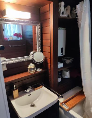 a bathroom with a sink and a mirror at Schwarzwaldloge Zeitlos in Sasbachwalden