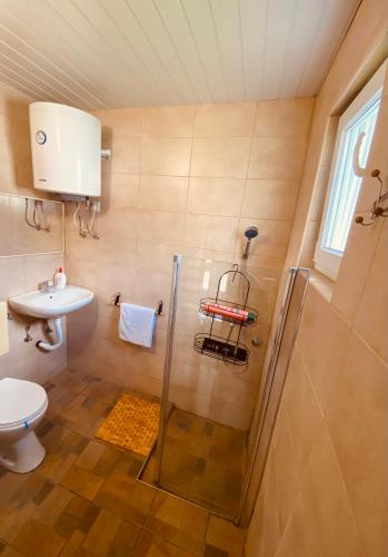 a bathroom with a shower and a toilet and a sink at Kuća za odmor Bećarsko utočište Vinkovci in Vinkovci