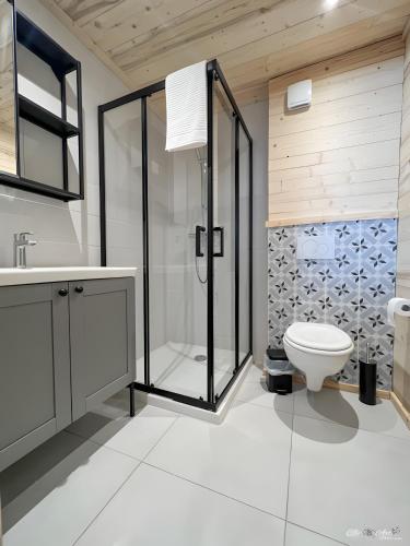 a bathroom with a shower and a toilet at Gite Cairn, Rez De Chalet in Faverges