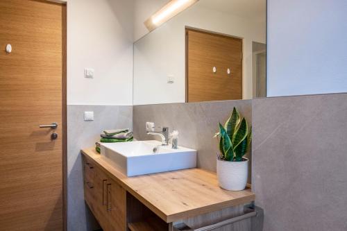 a bathroom with a sink and a mirror at Mittnackerhof Apartment Ringelblume in Sarntal