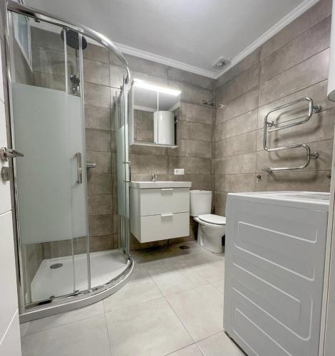 a bathroom with a shower and a sink and a toilet at Burriana Casa Playa in Nerja