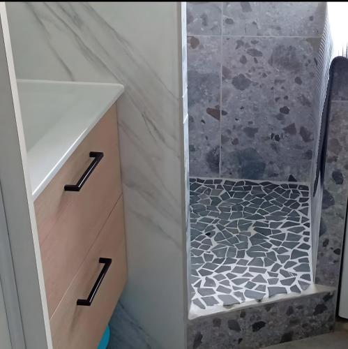 a bathroom with a walk in shower next to a cabinet at Studio Au Pieds Pistes Ski Collet in Allevard
