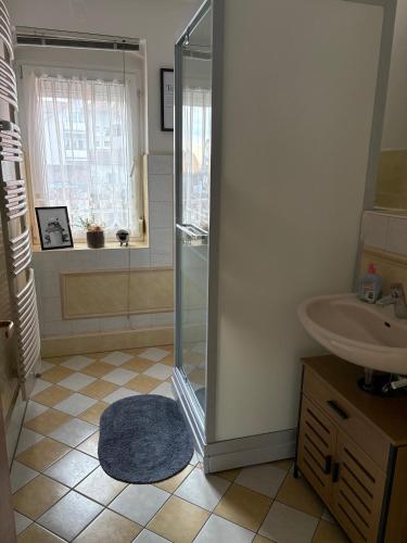 a bathroom with a shower and a sink at Wohnung Weida 2 in Riesa
