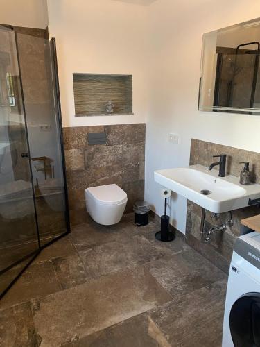 a bathroom with a toilet and a sink and a shower at Villa Klitzeklein in Bad Belzig
