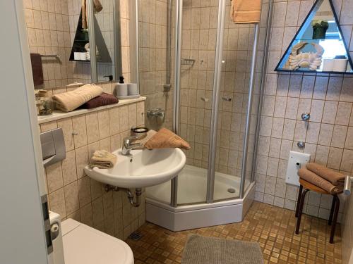 a bathroom with a shower and a sink at Ferienwohnung Halvar in Maasholm