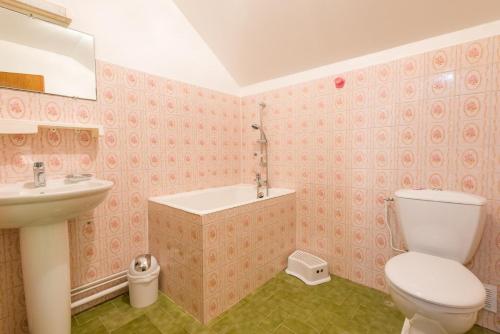 a bathroom with a toilet and a sink at Gîte Le Chalimont in Saint-Julien-en-Vercors