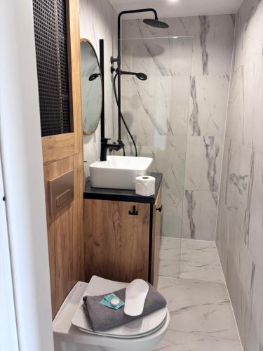 a bathroom with a sink and a toilet with a mirror at elli apartament Sieradz in Sieradz