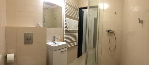 W łazience znajduje się umywalka i prysznic. w obiekcie Apartament w Toruniu w Toruniu