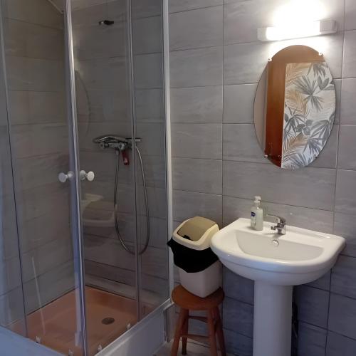 a bathroom with a sink and a shower at Gîte Du Recoux in Le Recoux