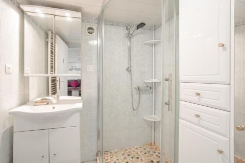un bagno con doccia e lavandino di Gite l'Escapade a Saint-Nazaire-sur-Charente