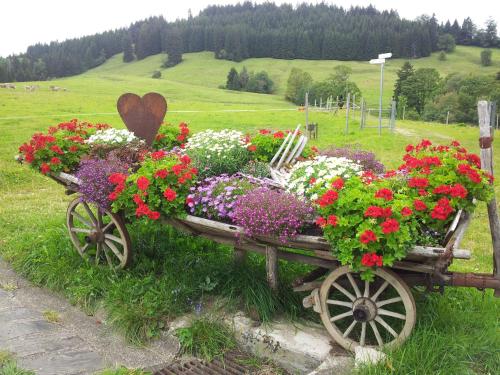 a wooden cart filled with lots of colorful flowers at Hotel Natur-Landhaus Krone in Maierhöfen