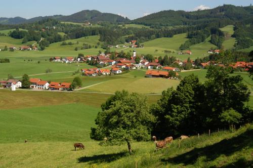 a group of cows grazing in a green field at Hotel Natur-Landhaus Krone in Maierhöfen
