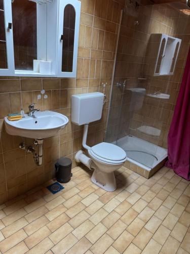 a bathroom with a toilet and a sink and a shower at Spacious Rooms Near Center in Ljubljana